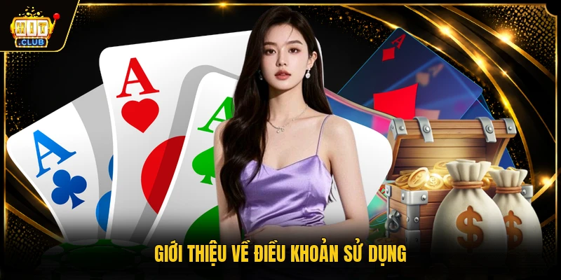 Giới thiệu về điều khoản sử dụng